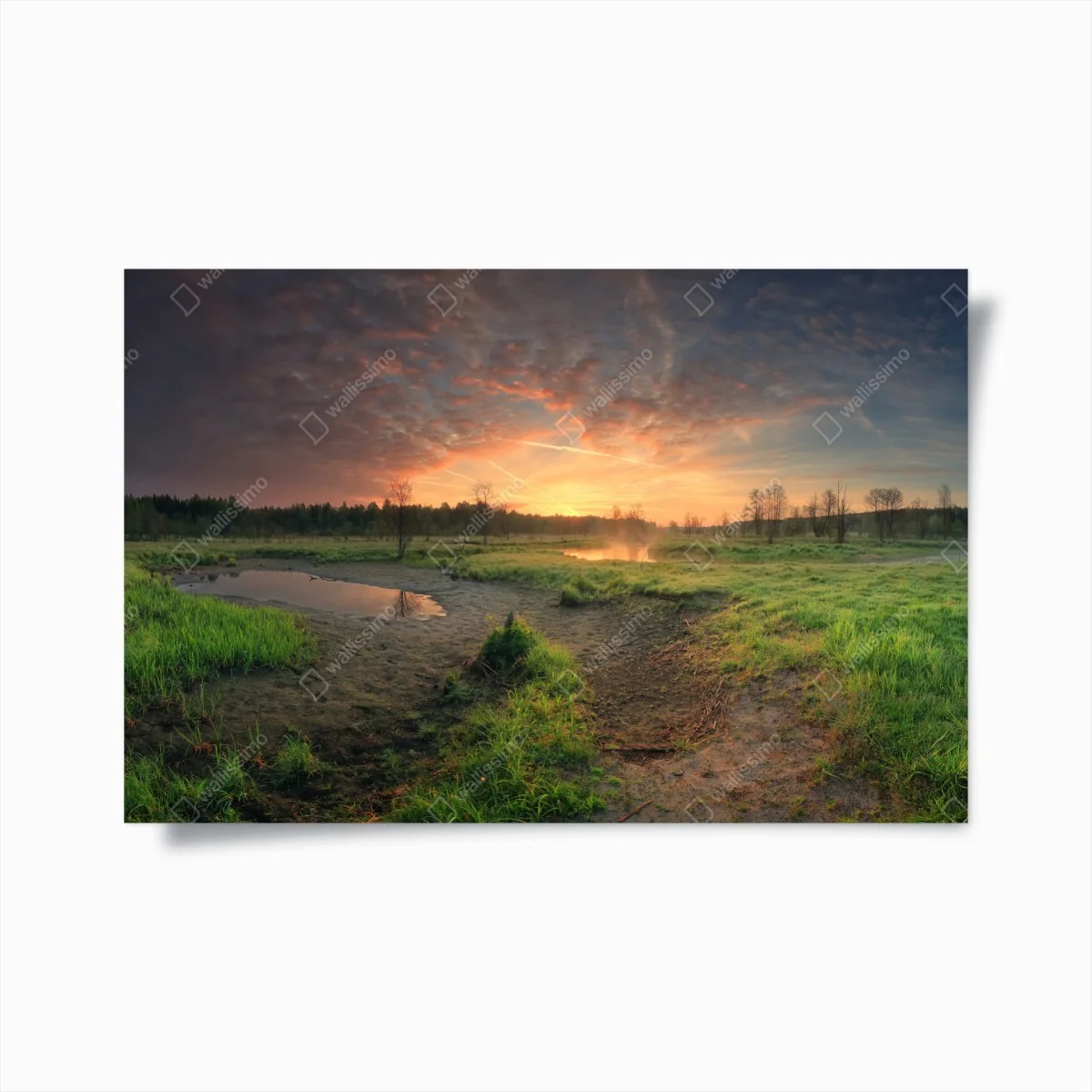 Poster aube tranquille sur le marais – Wallnifity® Poster aube tranquille sur le marais – Wallnifity®