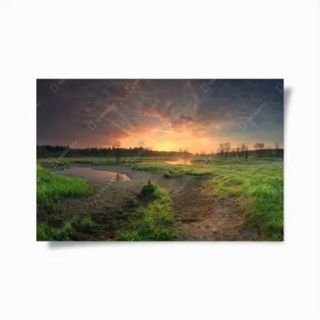Poster aube tranquille sur le marais – Wallnifity®