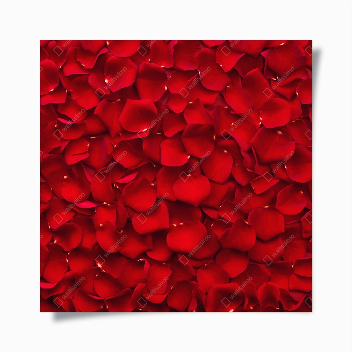 Poster mosaïque de pétales de rose rouges – Wallnifity® Poster mosaïque de pétales de rose rouges – Wallnifity®