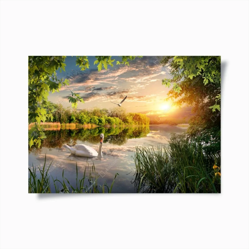 Poster paysage au coucher de soleil avec un cygne blanc – Wallnifity® Poster paysage au coucher de soleil avec un cygne blanc – Wallnifity®