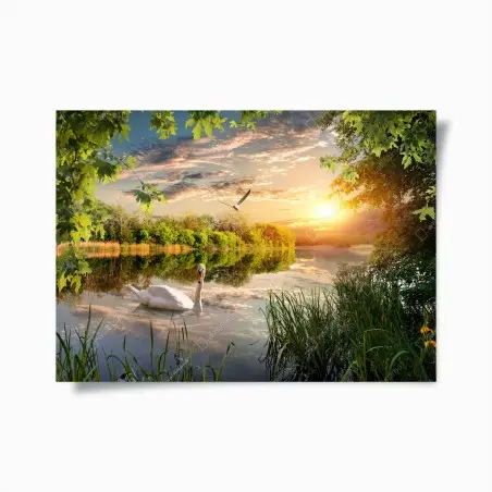 Poster paysage au coucher de soleil avec un cygne blanc – Wallnifity®