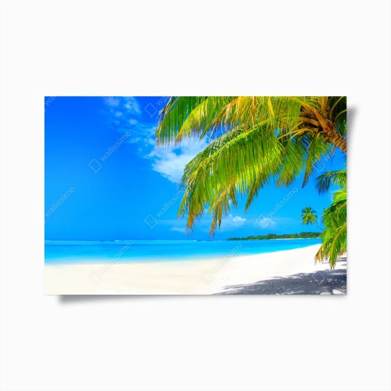 Posters – Wallnifity®