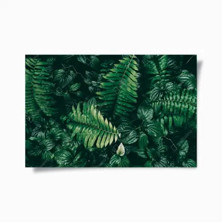 Poster mur de verdure tropicale sombre – Wallnifity®