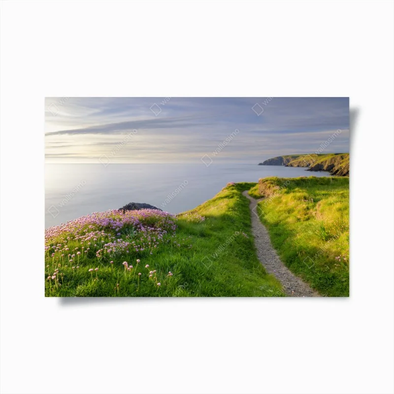 Poster sentier côtier au crépuscule à Ceibwr Bay, Pays de Galles – Wallnifity® Poster sentier côtier au crépuscule à Ceibwr Bay, Pays de Galles – Wallnifity®