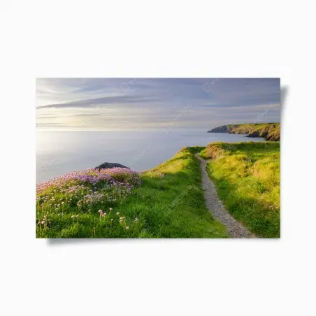Poster sentier côtier au crépuscule à Ceibwr Bay, Pays de Galles – Wallnifity®