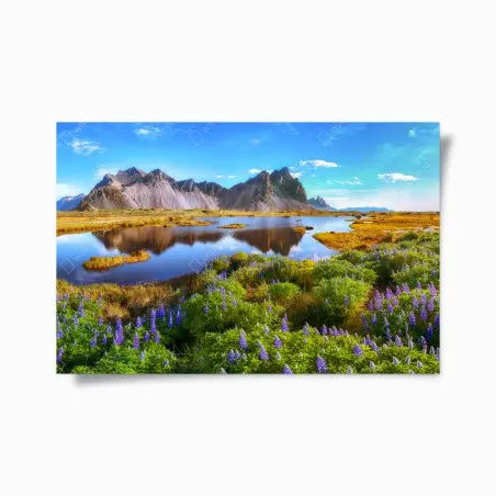 Poster prairie de lupins au bord de la lagune de Stokksnes, Vestrahorn – Wallnifity®
