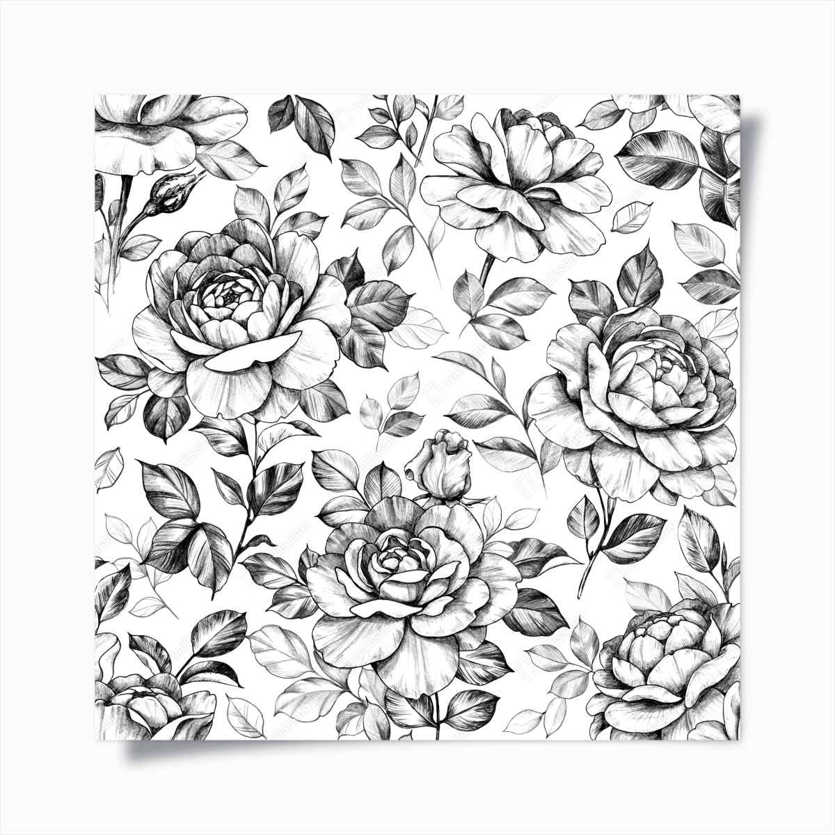 Poster motif floral vintage rose en dessin au crayon – Wallnifity®