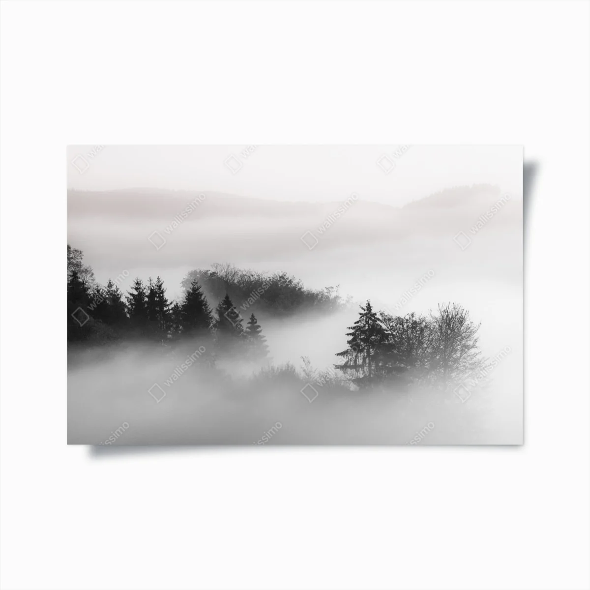 Poster forêt embrumée en noir et blanc – Wallnifity® Poster forêt embrumée en noir et blanc – Wallnifity®