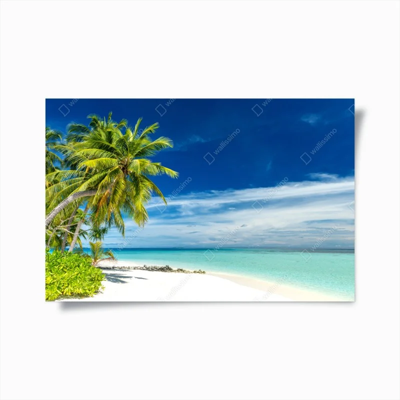 Posters – Wallnifity®