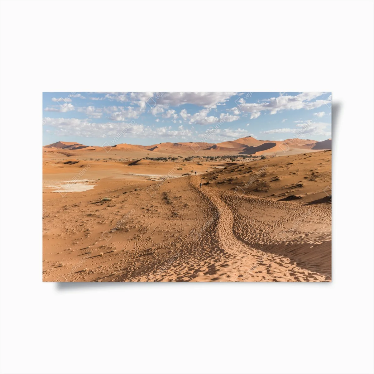 Poster horizon de dunes dorées et ciel ouvert – Wallnifity® Poster horizon de dunes dorées et ciel ouvert – Wallnifity®