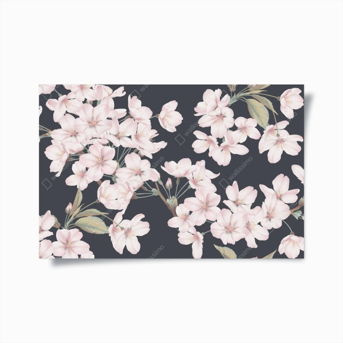 Poster motif de fleurs de cerisier délicates sur fond gris – Wallnifity® Poster motif de fleurs de cerisier délicates sur fond gris – Wallnifity®