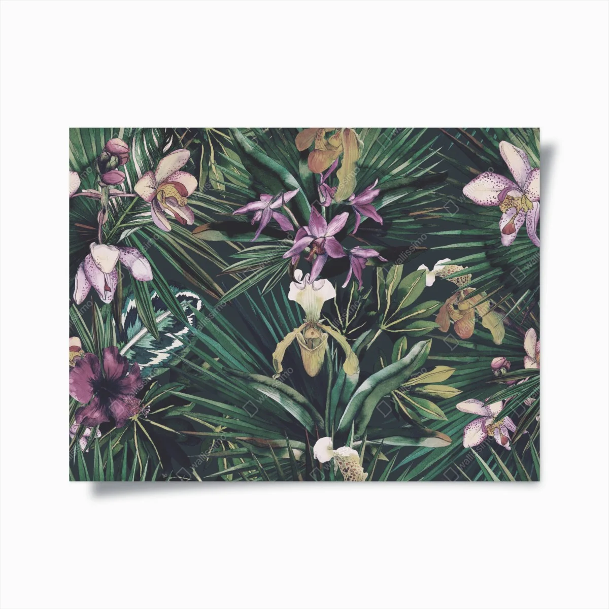 Poster paradis tropical aux orchidées aquarellées – Wallnifity® Poster paradis tropical aux orchidées aquarellées – Wallnifity®
