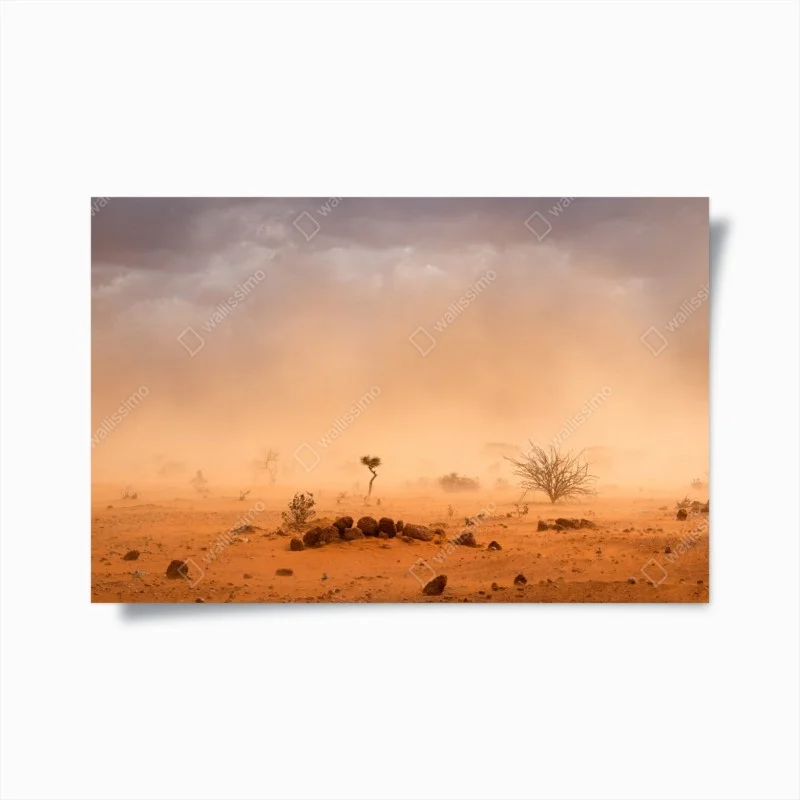 Déserte – Wallnifity®
