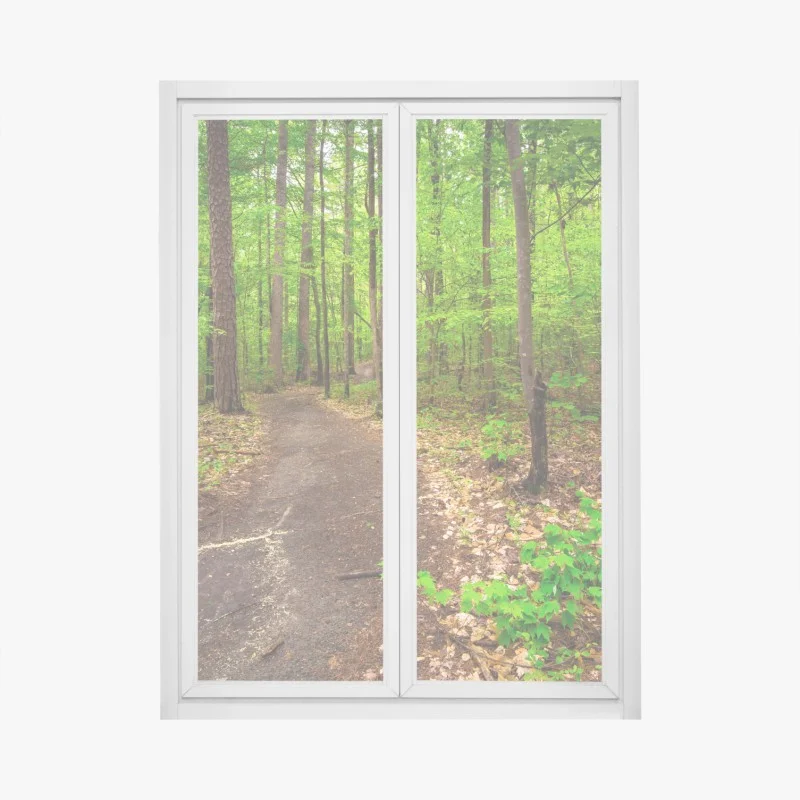 Stickers pour vitres et fenêtres – Wallnifity®