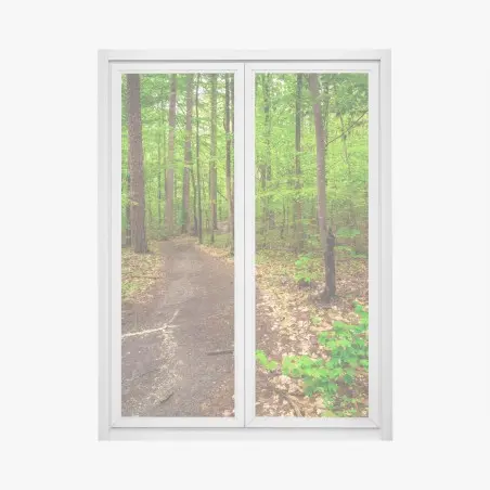 Sticker pour vitres et fenêtres sentier forestier verdoyant – Wallnifity®