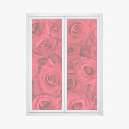 Sticker pour vitres et fenêtres motif de roses rouges en gros plan – Wallnifity®