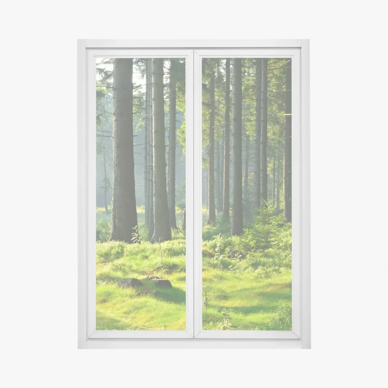 Stickers pour vitres et fenêtres – Wallnifity®