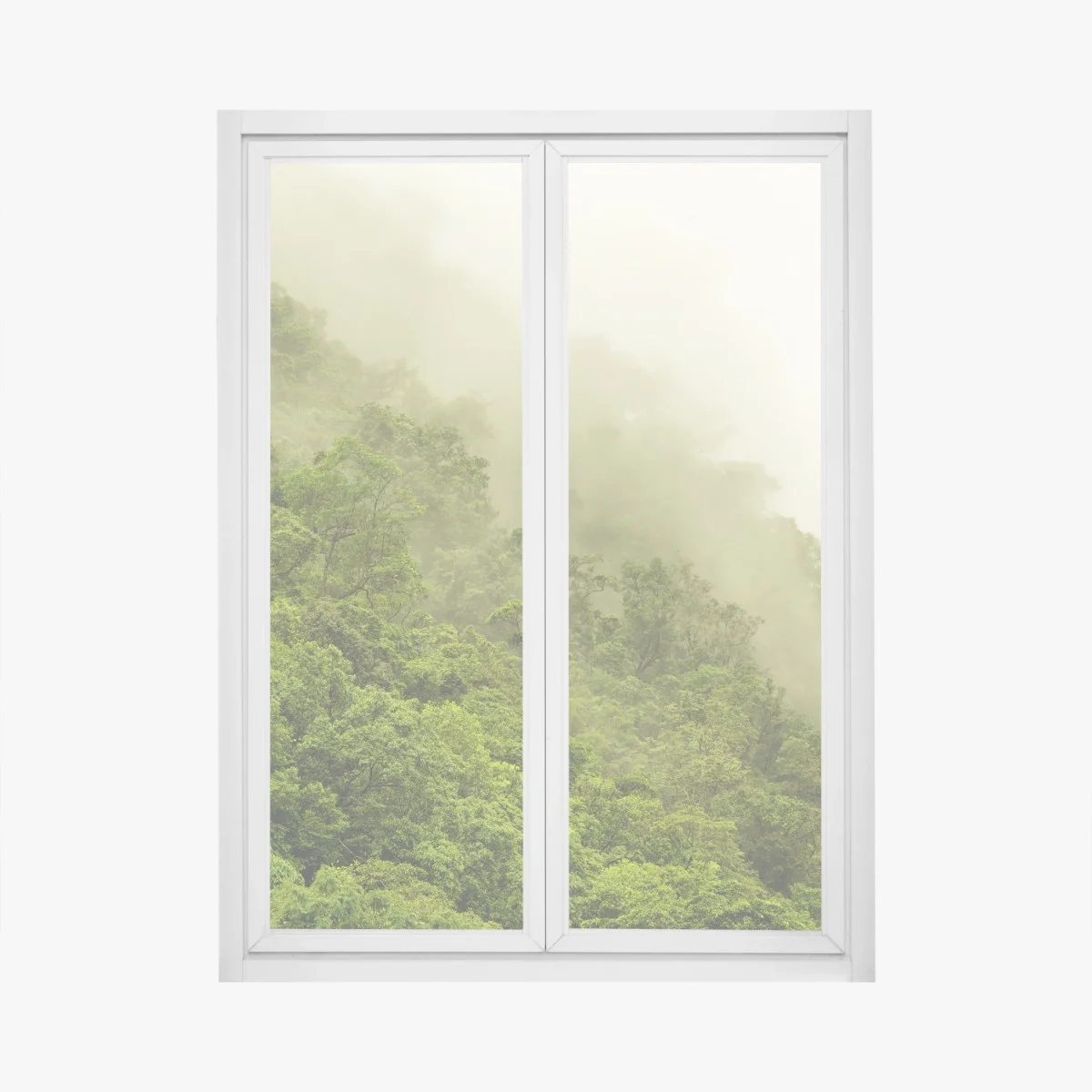Sticker pour vitres et fenêtres brume sur la forêt tropicale de Cairns – Wallnifity® Sticker pour vitres et fenêtres brume sur la forêt tropicale de Cairns – Wallnifity®