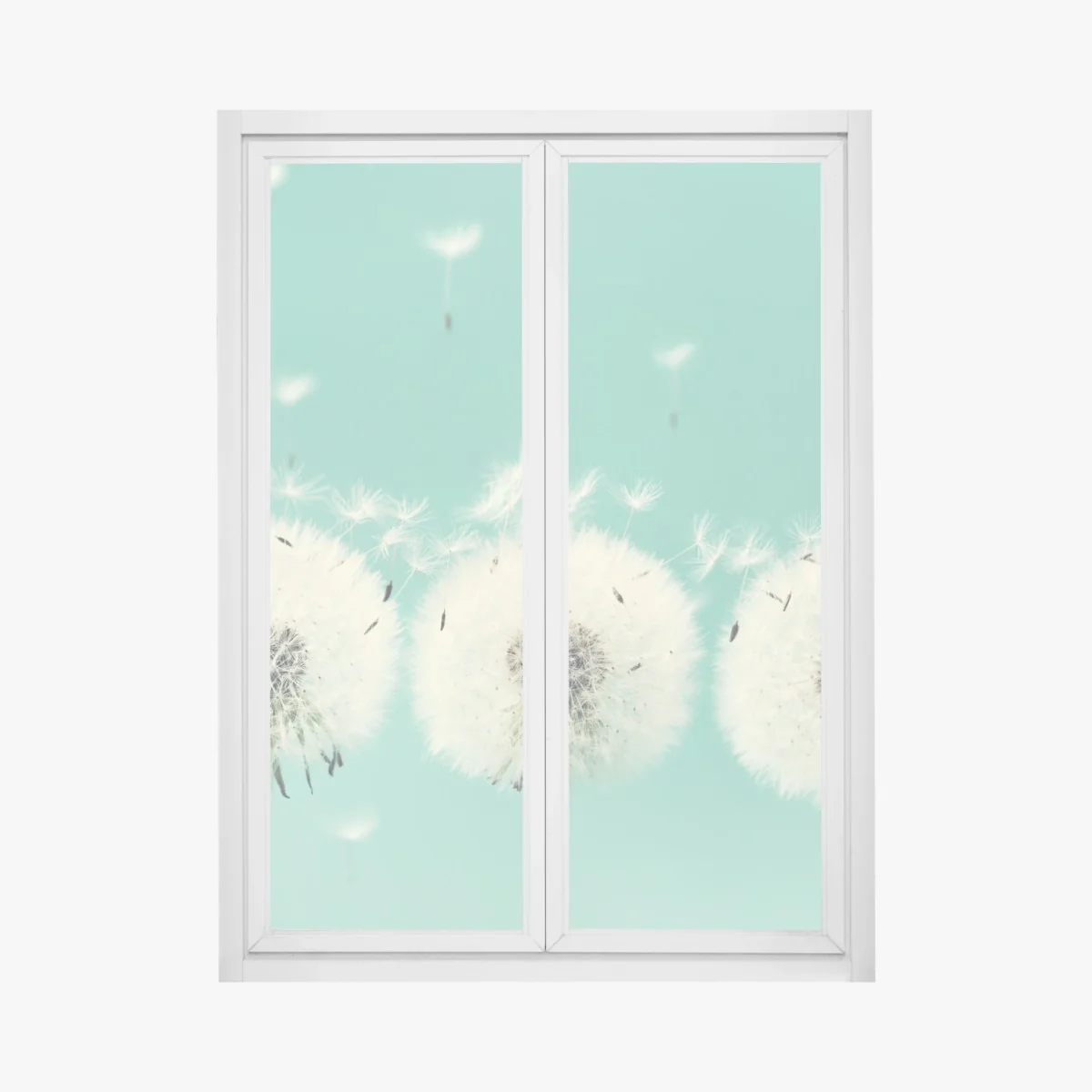 Sticker pour vitres et fenêtres souffle de pissenlits sur fond turquoise – Wallnifity® Sticker pour vitres et fenêtres souffle de pissenlits sur fond turquoise – Wallnifity®