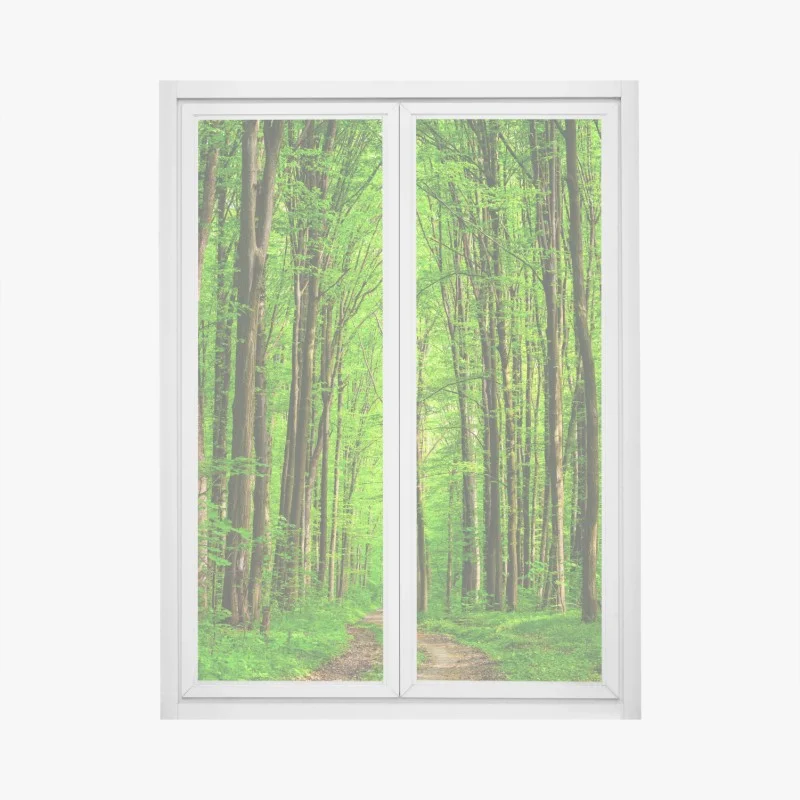 Sticker pour vitres et fenêtres allée forestière verdoyante – Wallnifity® Sticker pour vitres et fenêtres allée forestière verdoyante – Wallnifity®