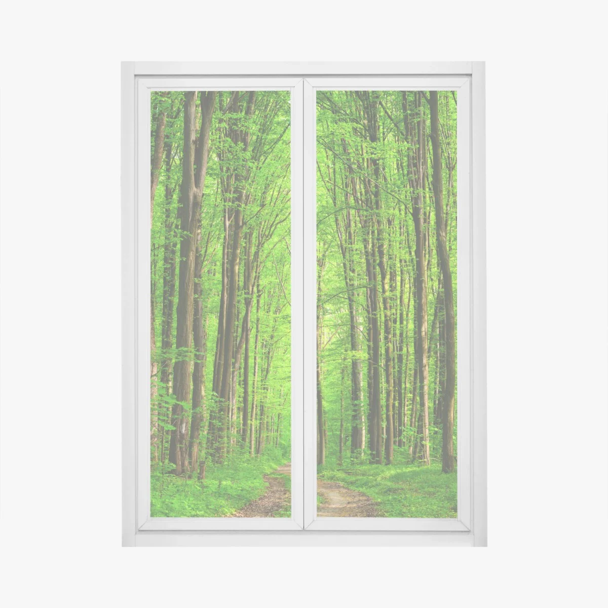 Sticker pour vitres et fenêtres allée forestière verdoyante – Wallnifity® Sticker pour vitres et fenêtres allée forestière verdoyante – Wallnifity®