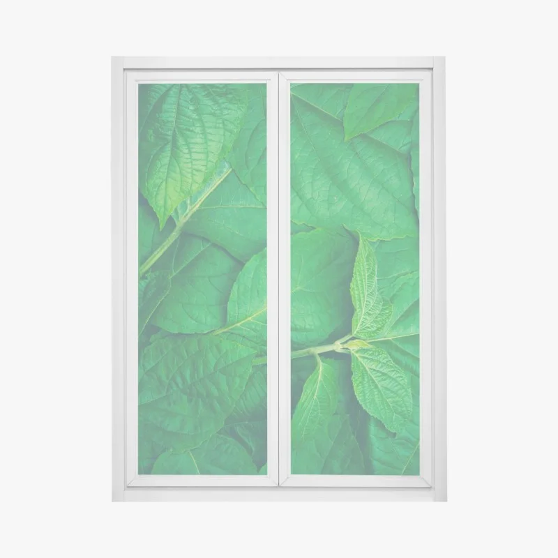 Stickers pour vitres et fenêtres – Wallnifity®