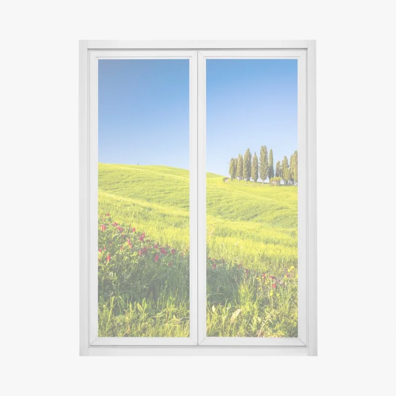 Stickers pour vitres et fenêtres – Wallnifity®