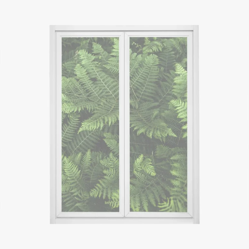 Stickers pour vitres et fenêtres – Wallnifity®