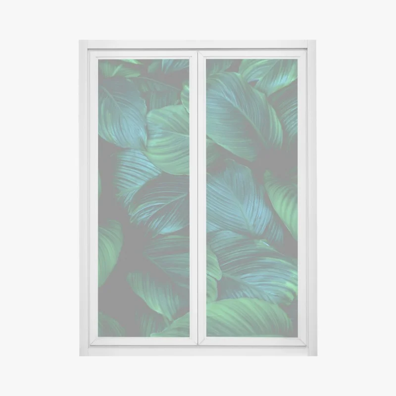 Stickers pour vitres et fenêtres – Wallnifity®