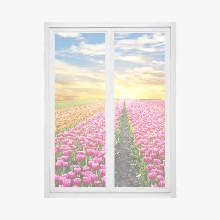 Sticker pour vitres et fenêtres lever du soleil sur les champs de tulipes aux Pays-Bas – Wallnifity®