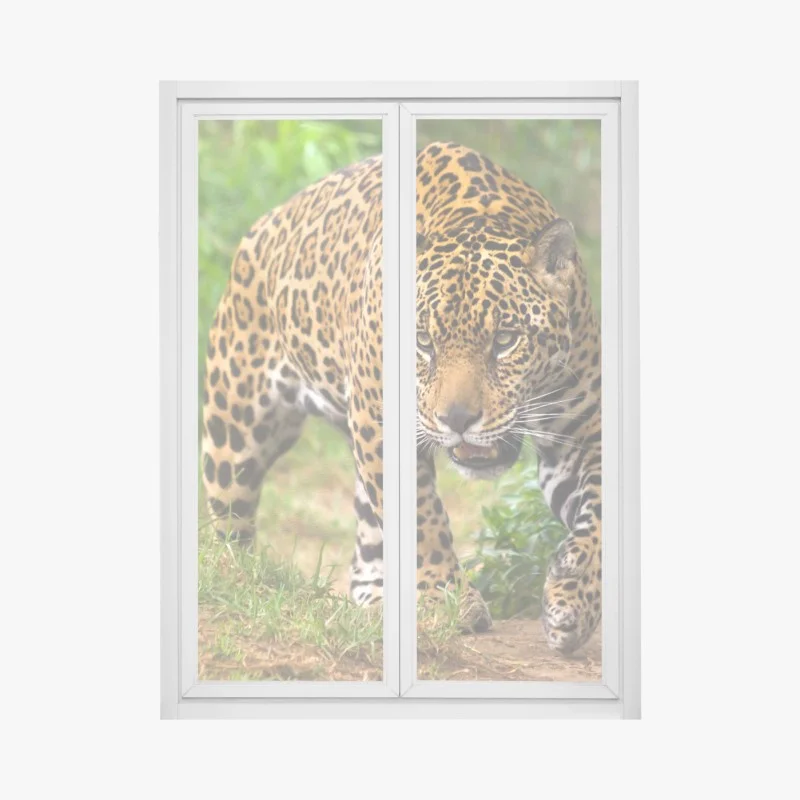 Stickers pour vitres et fenêtres – Wallnifity®