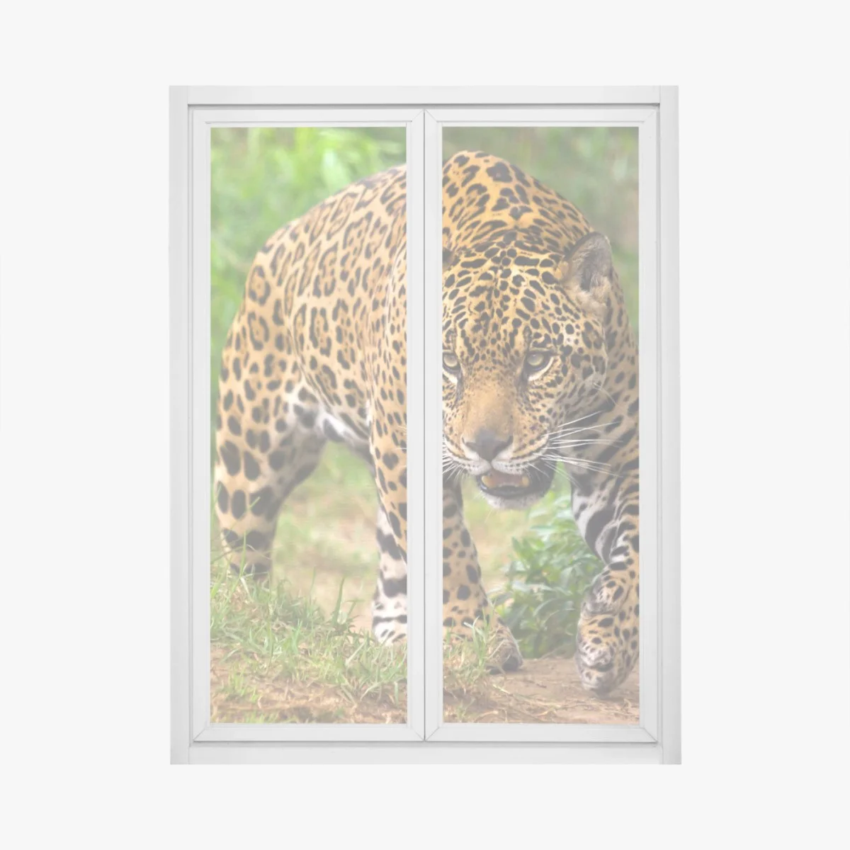 Sticker pour vitres et fenêtres jaguar en approche – Wallnifity® Sticker pour vitres et fenêtres jaguar en approche – Wallnifity®