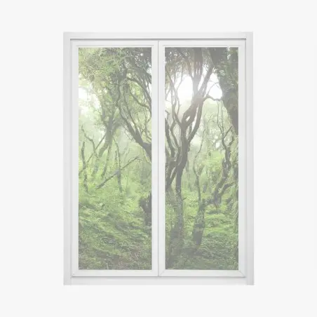 Sticker pour vitres et fenêtres forêt mystique recouverte de mousse – Wallnifity®