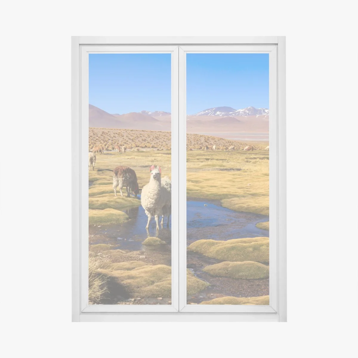 Sticker pour vitres et fenêtres calme andin : lamas sur l'altiplano des Andes – Wallnifity® Sticker pour vitres et fenêtres calme andin : lamas sur l'altiplano des Andes – Wallnifity®