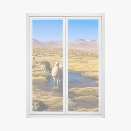 Sticker pour vitres et fenêtres calme andin : lamas sur l'altiplano des Andes – Wallnifity®
