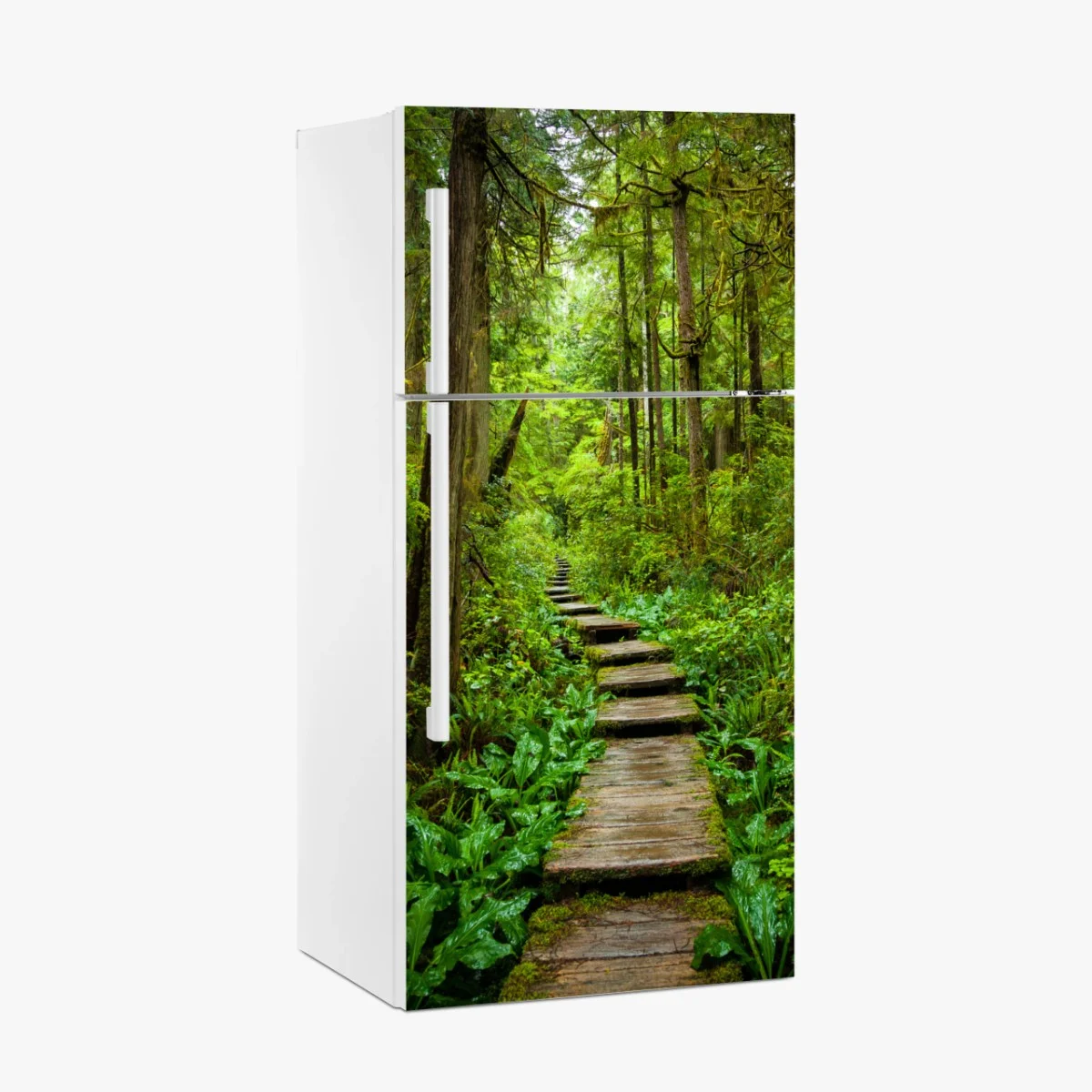 Sticker pour réfrigérateur sentier en planches à travers une forêt verdoyante – Wallnifity® Sticker pour réfrigérateur sentier en planches à travers une forêt verdoyante – Wallnifity®