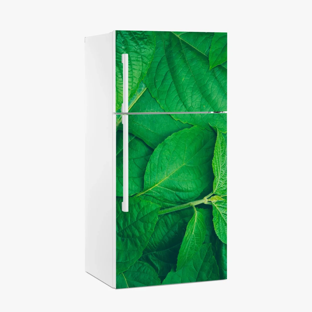 Sticker pour réfrigérateur feuillage vert luxuriant – Wallnifity® Sticker pour réfrigérateur feuillage vert luxuriant – Wallnifity®