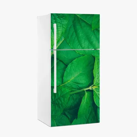 Sticker pour réfrigérateur feuillage vert luxuriant – Wallnifity®