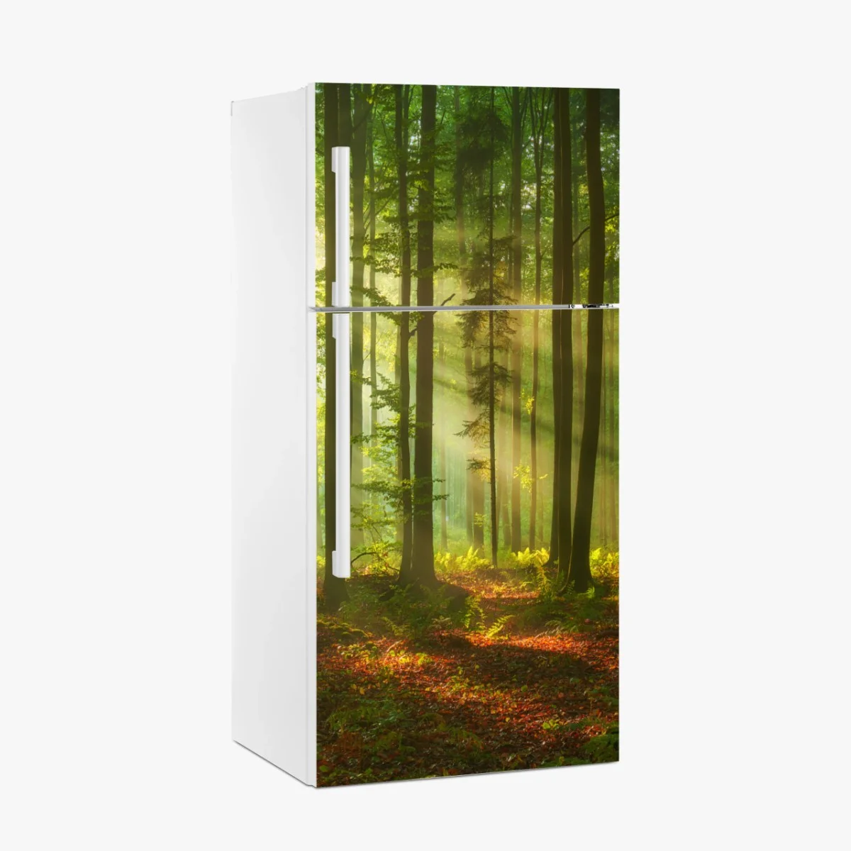 Sticker pour réfrigérateur aube dorée dans la forêt – Wallnifity® Sticker pour réfrigérateur aube dorée dans la forêt – Wallnifity®