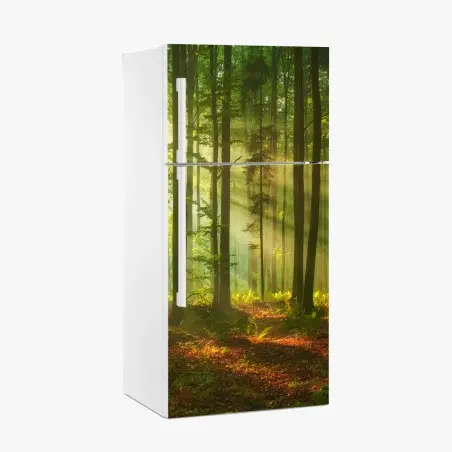 Sticker pour réfrigérateur aube dorée dans la forêt – Wallnifity®