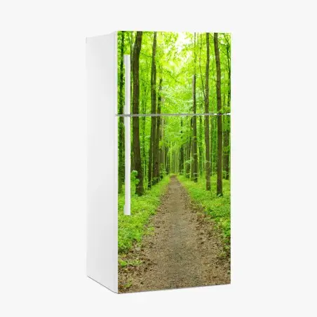 Sticker pour réfrigérateur sentier verdoyant en forêt au printemps – Wallnifity®