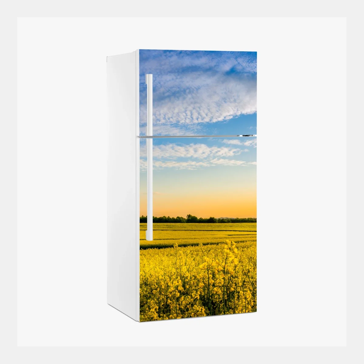 Sticker pour réfrigérateur champ de colza au coucher de soleil – Wallnifity® Sticker pour réfrigérateur champ de colza au coucher de soleil – Wallnifity®