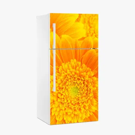 Sticker pour réfrigérateur éclat solaire gerbera en gros plan – Wallnifity®