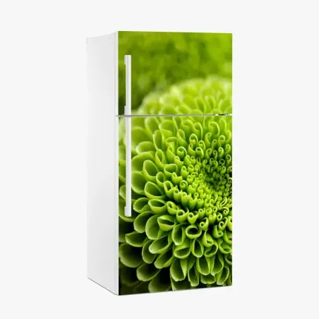 Sticker pour réfrigérateur spirale florale verte en gros plan – Wallnifity®