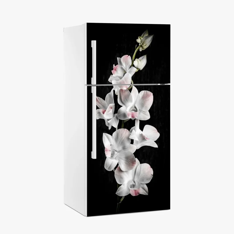 Minimaliste – Wallnifity®