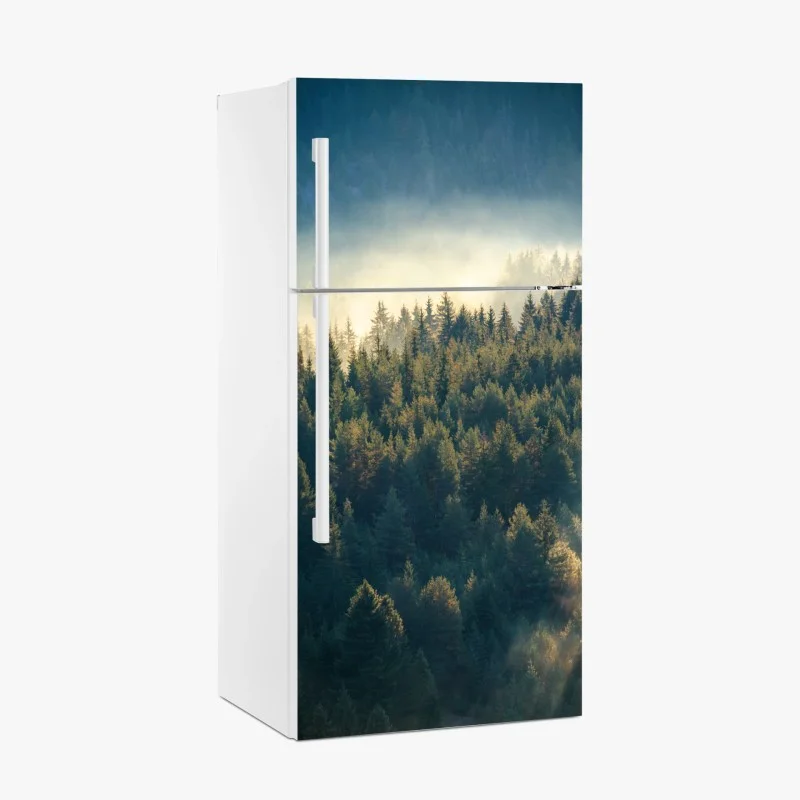 Stickers pour frigo – Wallnifity®