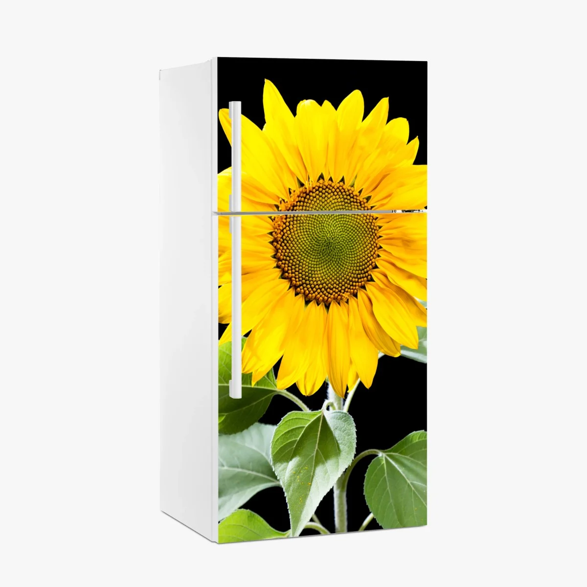 Sticker pour réfrigérateur tournesol éclatant sur fond noir – Wallnifity® Sticker pour réfrigérateur tournesol éclatant sur fond noir – Wallnifity®