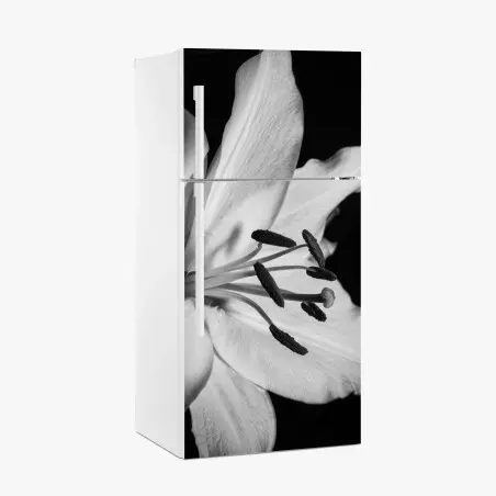 Sticker pour réfrigérateur élégance florale en noir et blanc – Wallnifity®