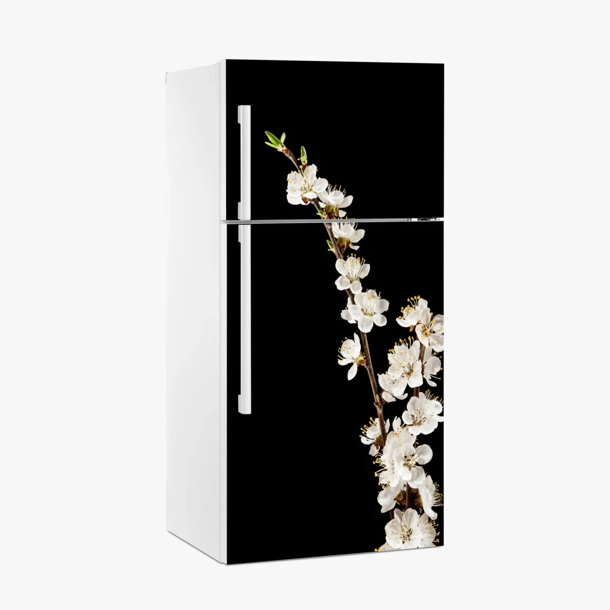 Sticker pour réfrigérateur branche d'abricotier en fleurs sur fond noir – Wallnifity® Sticker pour réfrigérateur branche d'abricotier en fleurs sur fond noir – Wallnifity®