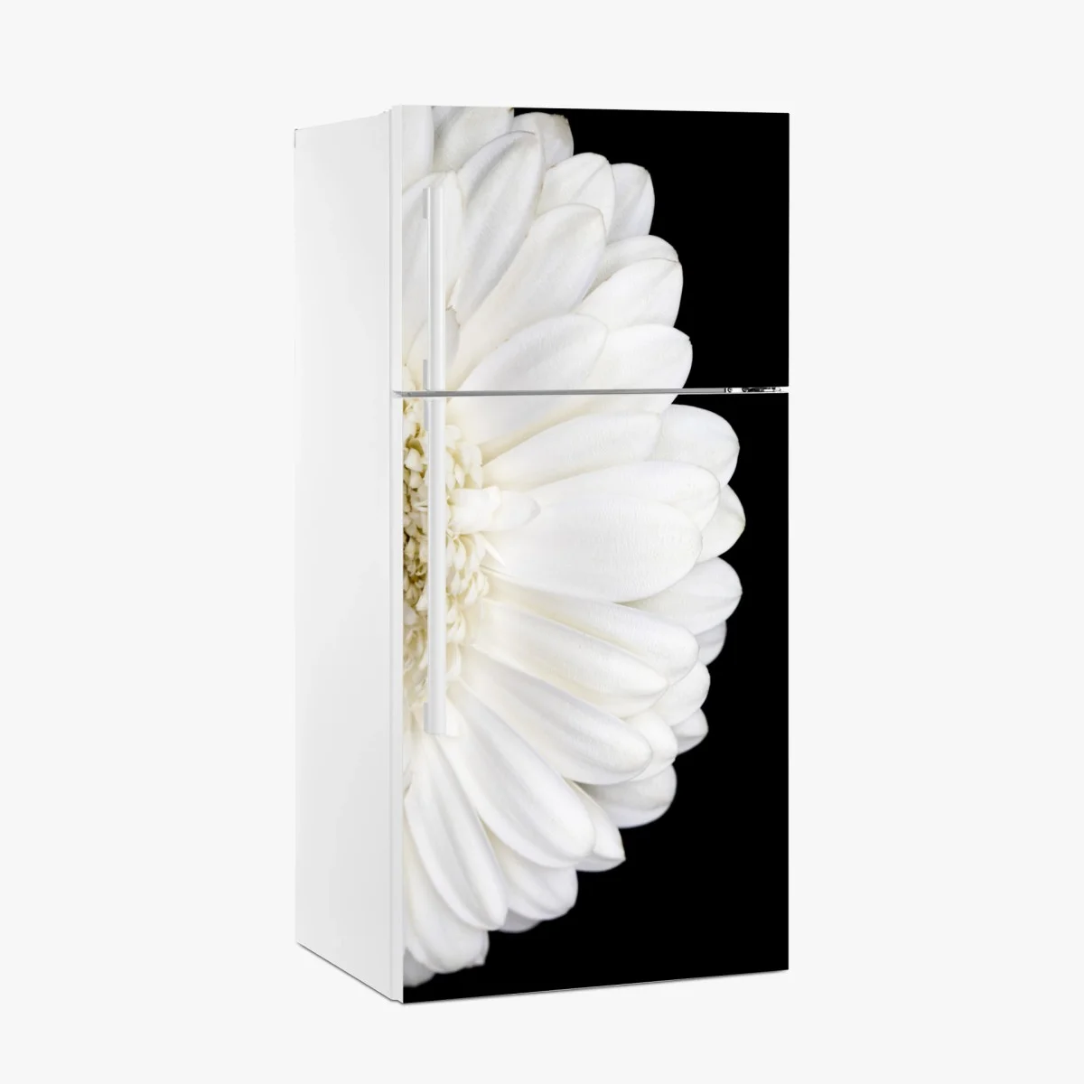 Sticker pour réfrigérateur gerbera blanche en gros plan sur fond noir – Wallnifity® Sticker pour réfrigérateur gerbera blanche en gros plan sur fond noir – Wallnifity®